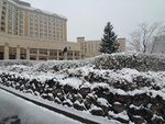 20032024_Samsung Smartphone Galaxy S10 Plus_Japan Tohoku Tour_Hotel Mori no Kaze Morning00034