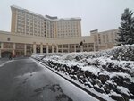 20032024_Samsung Smartphone Galaxy S10 Plus_Japan Tohoku Tour_Hotel Mori no Kaze Morning00035