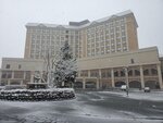 20032024_Samsung Smartphone Galaxy S10 Plus_Japan Tohoku Tour_Hotel Mori no Kaze Morning00046