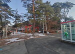 22032024_Samsung Smartphone Galaxy S10 Plus_Iwate Hanamaki Onsen Morning_Inari Jinja00001