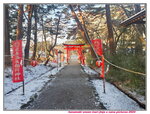 22032024_Samsung Smartphone Galaxy S10 Plus_Iwate Hanamaki Onsen Morning_Inari Jinja00028