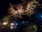 21032024_Samsung Smartphone Galaxy S10 Plus_Japan Tohoku Tour_Hanamakionsen_Senshukaku00055
