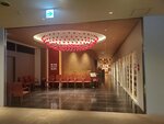 21032024_Samsung Smartphone Galaxy S10 Plus_Japan Tohoku Tour_Oirase Keiryu Hotel00004