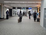 22032024_Samsung Smartphone Galaxy S10 Plus_Japan Tohoku Tour_Haneda International Airport00005