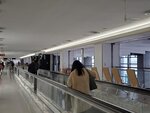 22032024_Samsung Smartphone Galaxy S10 Plus_Japan Tohoku Tour_Haneda International Airport00006