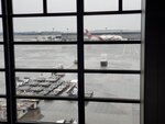 22032024_Samsung Smartphone Galaxy S10 Plus_Japan Tohoku Tour_Haneda International Airport00010