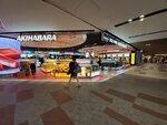22032024_Samsung Smartphone Galaxy S10 Plus_Japan Tohoku Tour_Haneda International Airport00020