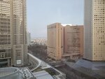 23032024_Samsung Smartphone Galaxy S10 Plus_Japan Tohoku Tour_Tokyo Shinjukju Morning00002