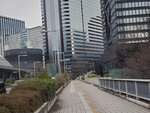 23032024_Samsung Smartphone Galaxy S10 Plus_Japan Tohoku Tour_Tokyo Shinjukju Morning00005