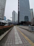 23032024_Samsung Smartphone Galaxy S10 Plus_Japan Tohoku Tour_Tokyo Shinjukju Morning00007