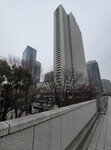 23032024_Samsung Smartphone Galaxy S10 Plus_Japan Tohoku Tour_Tokyo Shinjukju Morning00008