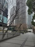23032024_Samsung Smartphone Galaxy S10 Plus_Japan Tohoku Tour_Tokyo Shinjukju Morning00010