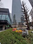 23032024_Samsung Smartphone Galaxy S10 Plus_Japan Tohoku Tour_Tokyo Shinjukju Morning00012