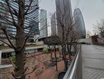 23032024_Samsung Smartphone Galaxy S10 Plus_Japan Tohoku Tour_Tokyo Shinjukju Morning00013