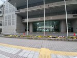 23032024_Samsung Smartphone Galaxy S10 Plus_Japan Tohoku Tour_Tokyo Shinjukju Morning00021