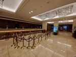 23032024_Samsung Smartphone Galaxy S10 Plus_Japan Tohoku Tour_Tokyo Shinjuku Morning_Keio Plaza Hotel00015