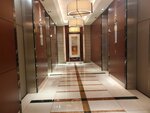 23032024_Samsung Smartphone Galaxy S10 Plus_Japan Tohoku Tour_Tokyo Shinjuku Morning_Keio Plaza Hotel00018