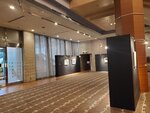 23032024_Samsung Smartphone Galaxy S10 Plus_Japan Tohoku Tour_Tokyo Shinjuku Morning_Keio Plaza Hotel00022
