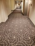 23032024_Samsung Smartphone Galaxy S10 Plus_Japan Tohoku Tour_Tokyo Shinjuku Morning_Keio Plaza Hotel00023
