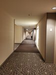 23032024_Samsung Smartphone Galaxy S10 Plus_Japan Tohoku Tour_Tokyo Shinjuku Morning_Keio Plaza Hotel00024