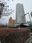23032024_Samsung Smartphone Galaxy S10 Plus_Japan Tohoku Tour_Tokyo Shinjuku Morning_Sakura no Hana00018