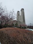 23032024_Samsung Smartphone Galaxy S10 Plus_Japan Tohoku Tour_Tokyo Shinjuku Morning_Sakura no Hana00019