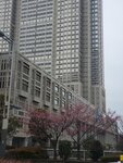 23032024_Samsung Smartphone Galaxy S10 Plus_Japan Tohoku Tour_Tokyo Shinjuku Morning_Sakura no Hana00020