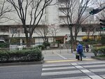 23032024_Samsung Smartphone Galaxy S10 Plus_Japan Tohoku Tour_Tokyo Shinjuku Morning_Sakura no Hana00022