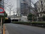 23032024_Samsung Smartphone Galaxy S10 Plus_Japan Tohoku Tour_Tokyo Shinjuku Morning_Sakura no Hana00023