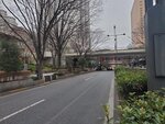 23032024_Samsung Smartphone Galaxy S10 Plus_Japan Tohoku Tour_Tokyo Shinjuku Morning_Sakura no Hana00024
