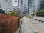 23032024_Samsung Smartphone Galaxy S10 Plus_Japan Tohoku Tour_Tokyo Shinjuku Morning_Sakura no Hana00030