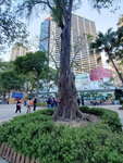 20012023_Samsung Smartphone Galaxy S10 Plus_Victoria Park CNY Flower Fair_Venue00001