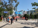 20012023_Samsung Smartphone Galaxy S10 Plus_Victoria Park CNY Flower Fair_Venue00006