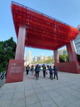 20012023_Samsung Smartphone Galaxy S10 Plus_Victoria Park CNY Flower Fair_Venue00008