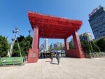 20012023_Samsung Smartphone Galaxy S10 Plus_Victoria Park CNY Flower Fair_Venue00009