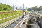 22102017_Shek Wu Hui Sewage Treatment Works_Serena Ng00095