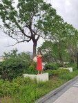 12052024_Samsung Smartphone Galaxy S10 Plus_Golden Beach_Shirley Lau00010