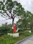 12052024_Samsung Smartphone Galaxy S10 Plus_Golden Beach_Shirley Lau00011
