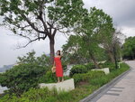 12052024_Samsung Smartphone Galaxy S10 Plus_Golden Beach_Shirley Lau00030