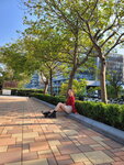 24012026_Samsung Galaxy Note 20 Ultra_Hong Kong Science and Technology Park_Shirley Lau00020