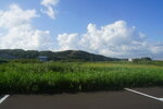 26082023_Sony A 7II_25th round to Hokkaido_Wakkanai_Meguma Hotel Morning00006