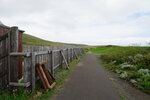 27082023_25th round to Hokkaido_Rebun Takayama Botanical Garden00009