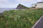 27082023_25th round to Hokkaido_Rishiri Island Morning00042