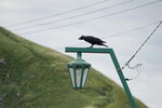 27082023_25th round to Hokkaido_Rishiri Island Morning00081