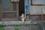 27082023_25th round to Hokkaido_Rishiri Island Morning00085