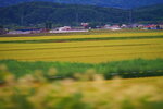 28082023_25th round to Hokkaido_Way from Wakkanai to Sounkyo00036