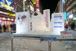 09022025_Sony Alpha 7 II_29th round to Hokkaido_Susukino Ice Sculptures00009