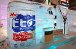 09022025_Sony Alpha 7 II_29th round to Hokkaido_Susukino Ice Sculptures00010