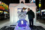 09022025_Sony Alpha 7 II_29th round to Hokkaido_Susukino Ice Sculptures00021