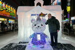 09022025_Sony Alpha 7 II_29th round to Hokkaido_Susukino Ice Sculptures00023